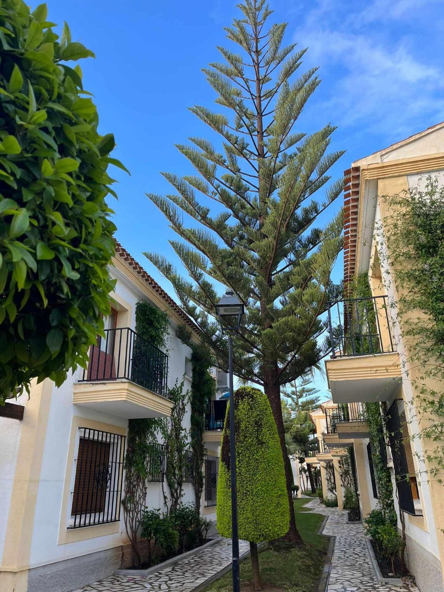 Apartamento Vera Coast 123 Playas de Vera Экстерьер фото