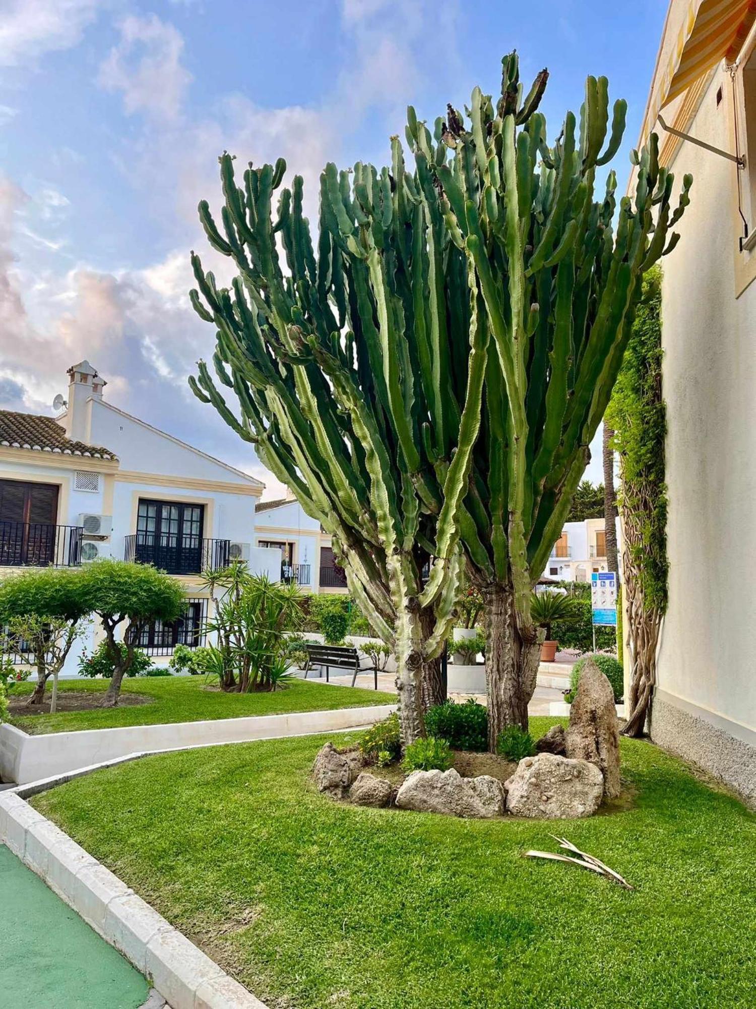Apartamento Vera Coast 123 Playas de Vera Экстерьер фото